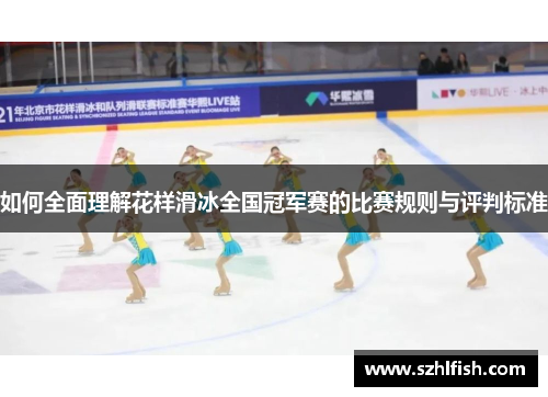 如何全面理解花样滑冰全国冠军赛的比赛规则与评判标准