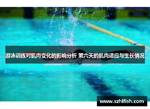游泳训练对肌肉变化的影响分析 第六天的肌肉适应与生长情况