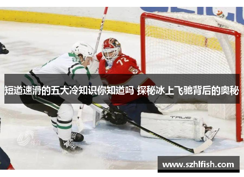 短道速滑的五大冷知识你知道吗 探秘冰上飞驰背后的奥秘