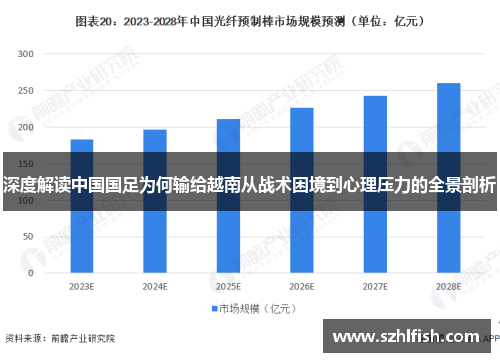 深度解读中国国足为何输给越南从战术困境到心理压力的全景剖析