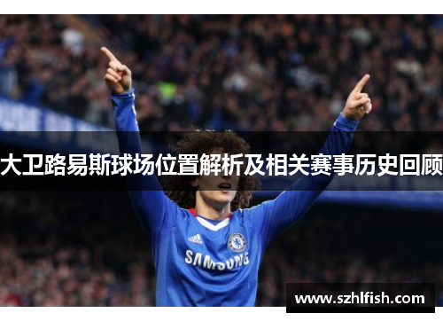 大卫路易斯球场位置解析及相关赛事历史回顾 大卫路易斯球场位置解析及相关赛事历史回顾
