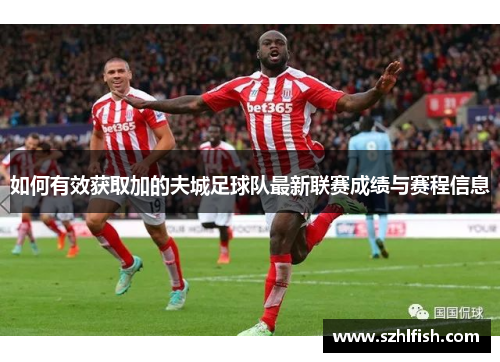 如何有效获取加的夫城足球队最新联赛成绩与赛程信息