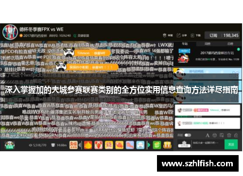 深入掌握加的夫城参赛联赛类别的全方位实用信息查询方法详尽指南