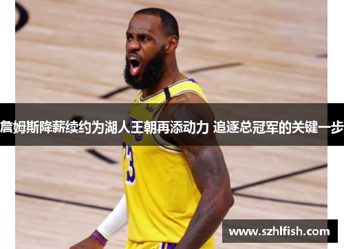 詹姆斯降薪续约为湖人王朝再添动力 追逐总冠军的关键一步 詹姆斯降薪续约为湖人王朝再添动力 追逐总冠军的关键一步