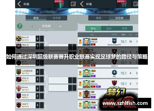如何通过深圳超级联赛晋升职业联赛实现足球梦的路径与策略