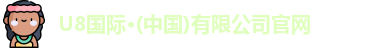 U8国际